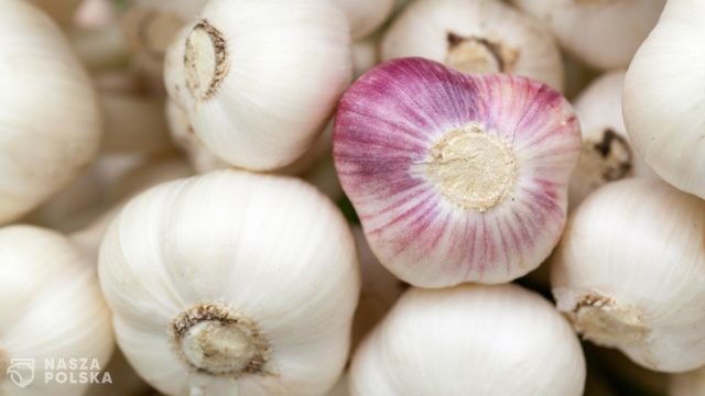Naturalne metody wspomagania odporności w walce z koronawirusem