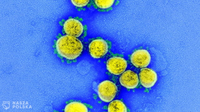 Naukowcy: koronawirus zmienia się mniej niż HIV