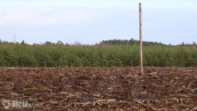 Niszczenie środowiska naturalnego doprowadzi do kolejnych pandemii?
