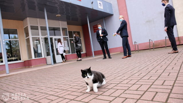 Przyszły rok szkolny być może także na odległość