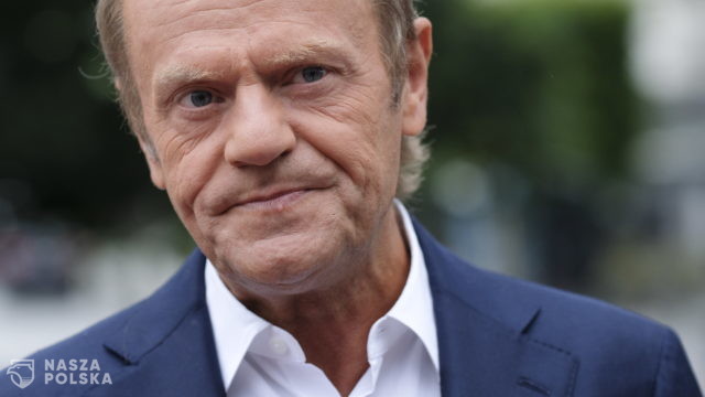 Wicemarszałek senatu: Donald Tusk obecnie jest już tylko trollem internetowym z Brukseli