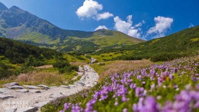 Zakopane w czerwonej strefie; mieszkańcy i turyści w maseczkach