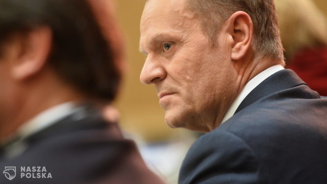Zgorzelski o Tusku i pustym basenie: Jest zbyt rozsądnym politykiem