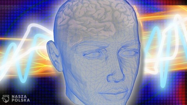 Mikrochipy w mózgu, czyli na drodze do Homo cyber