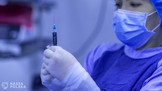 Oficjalne polskie statystyki: prawie tysiąc NOPów, pięć zgonów