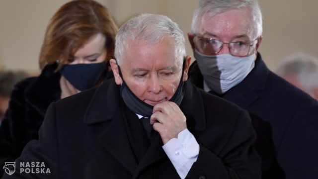 Kaczyński: stosunek do zwierząt to jest element kultury