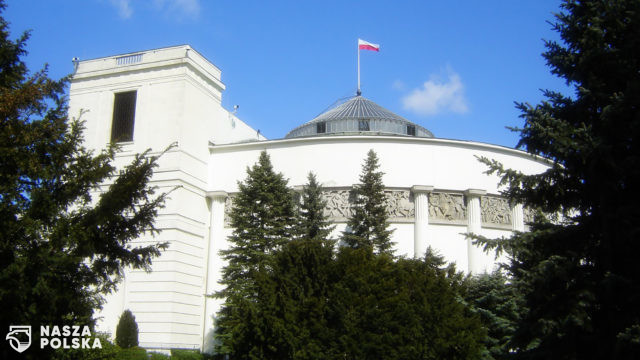 Sondaż dla WP: PiS 34,8 proc., Polska 2050 – 22,1 proc., PO 13,2 proc.
