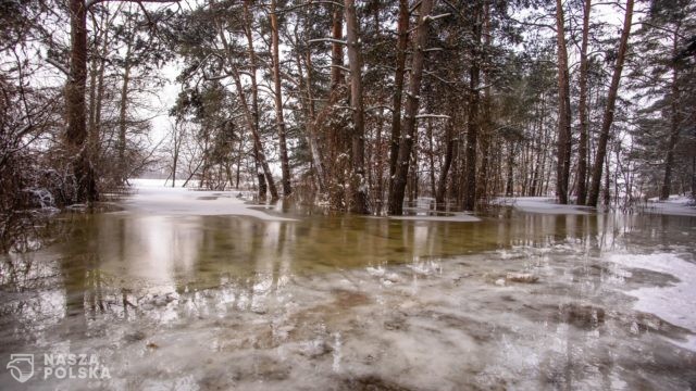 Prezes Wód Polskich: sytuacja w Płocku się stabilizuje; naciski na nas nieodpowiedzialne