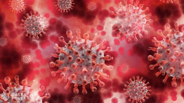 Mołdawia/ Parlament przegłosował stan wyjątkowy z powodu epidemii