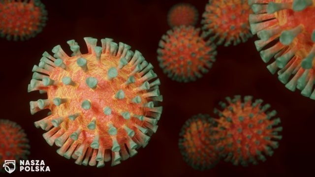 Belgia: wykryto pierwsze zakażenie nowym podwariantem Omikronu, BA.4