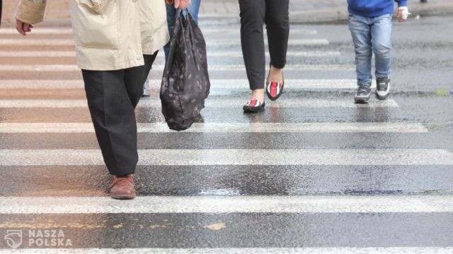 Senat przyjął poprawkę, żeby pieszy miał pierwszeństwo przy wchodzeniu na pasy