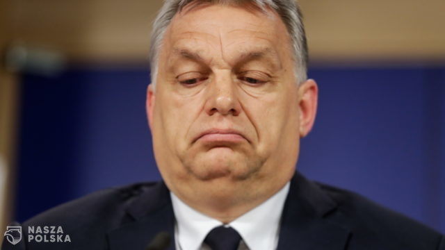 Fidesz opuszcza szeregi partii Tuska