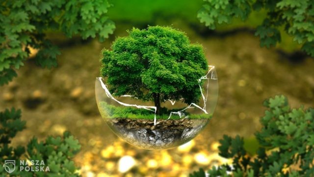 Młodzieżowy Strajk Klimatyczny: To będą ważne wybory dla klimatu