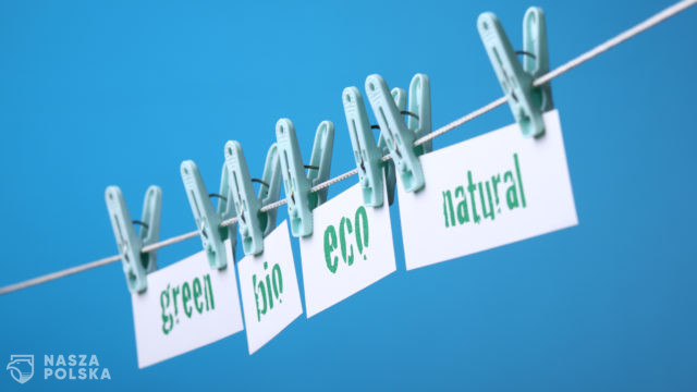 Greenwashing i jego czarna strona