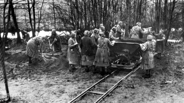 Otwarto wystawę poświęconą więźniarkom w KL Ravensbrűck