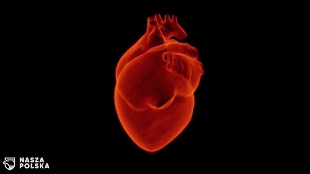 Sterowany światłem rozrusznik pomoże pacjentom z niewydolnością serca