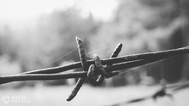 Połowa Brytyjczyków nie wie, że podczas Holokaustu zamordowano 6 mln Żydów