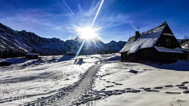 Tatry/ Hala Gąsienicowa