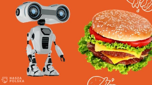 Jedzenie i zakupy na dowóz z robotem w roli kuriera? Polska firma zaczęła testy