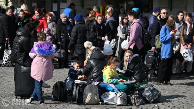Na polski rynek pracy może trafić ok. 600 tys. uchodźców, głównie kobiet