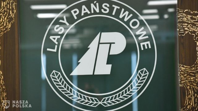 Lasy Państwowe zrywają umowę najmu z ambasadą rosyjską