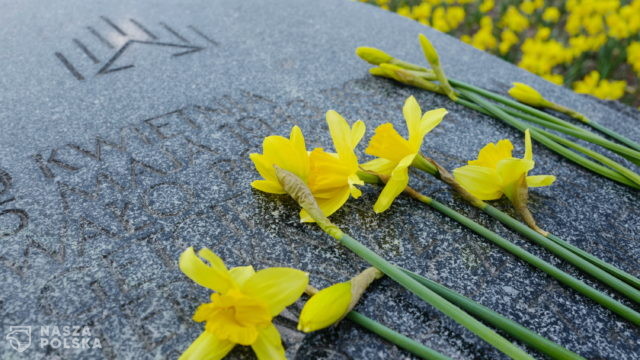 Warszawa: we wtorek syreny alarmowe z okazji 79. rocznicy powstania w getcie warszawskim