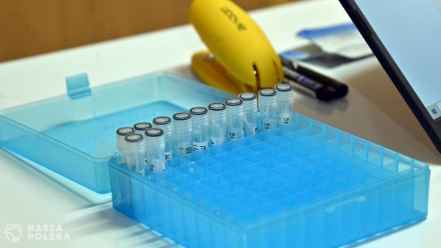 Niedzielski: ewentualny powrót do masowego testowania na covid po przekroczeniu 5 tys. hospitalizacji