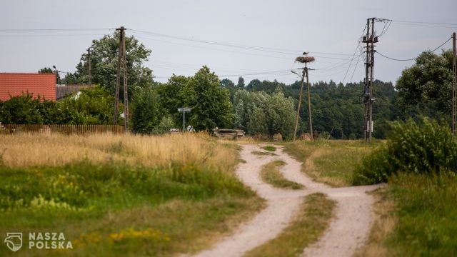 Prokuratura: śmierć 67-latka spod Lubartowa nie spowodowana pogryzieniem przez psy