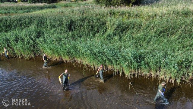 Złota alga i zasolenie niejedynym problemem polskich rzek