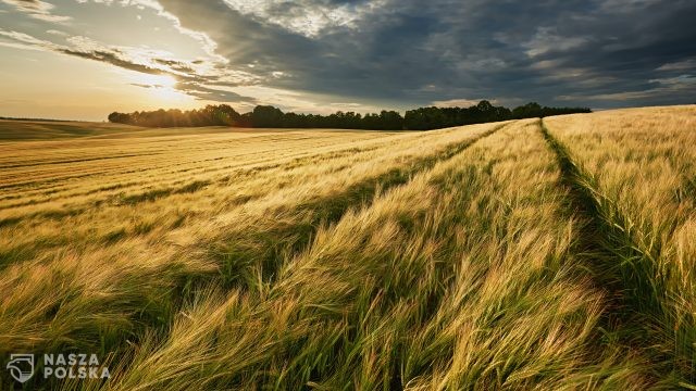 Najbliższe dni pod znakiem upałów i bardzo groźnych burz