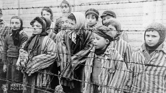 Nie tylko Bayer. 80. rocznica „generalnego odwszenia” w Auschwitz