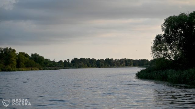 Badanie: w osadach ujścia Odry obecna jest szkodliwa tributylocyna