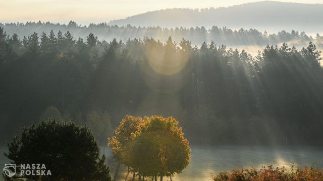 Rekordowo ciepły Dzień Wszystkich Świętych; cały długi weekend również letni