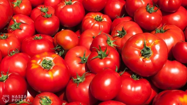 Przedłużono zerową stawkę VAT na żywność