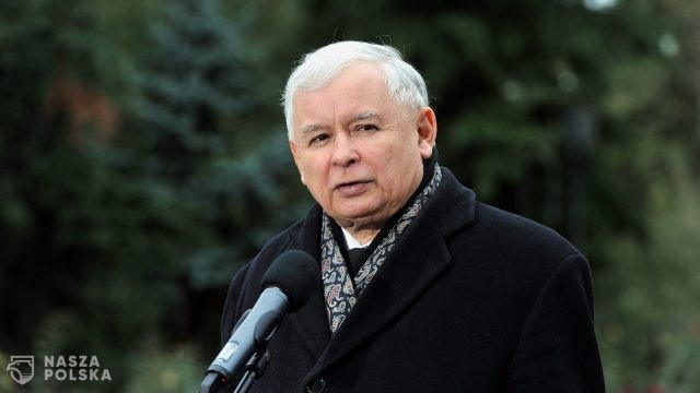 Prawo i Sprawiedliwość odrzuca koncepcje ograniczenia spożycia mięsa i nabiału