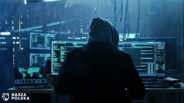 FBI alarmuje – coraz więcej oszustw inwestycyjnych
